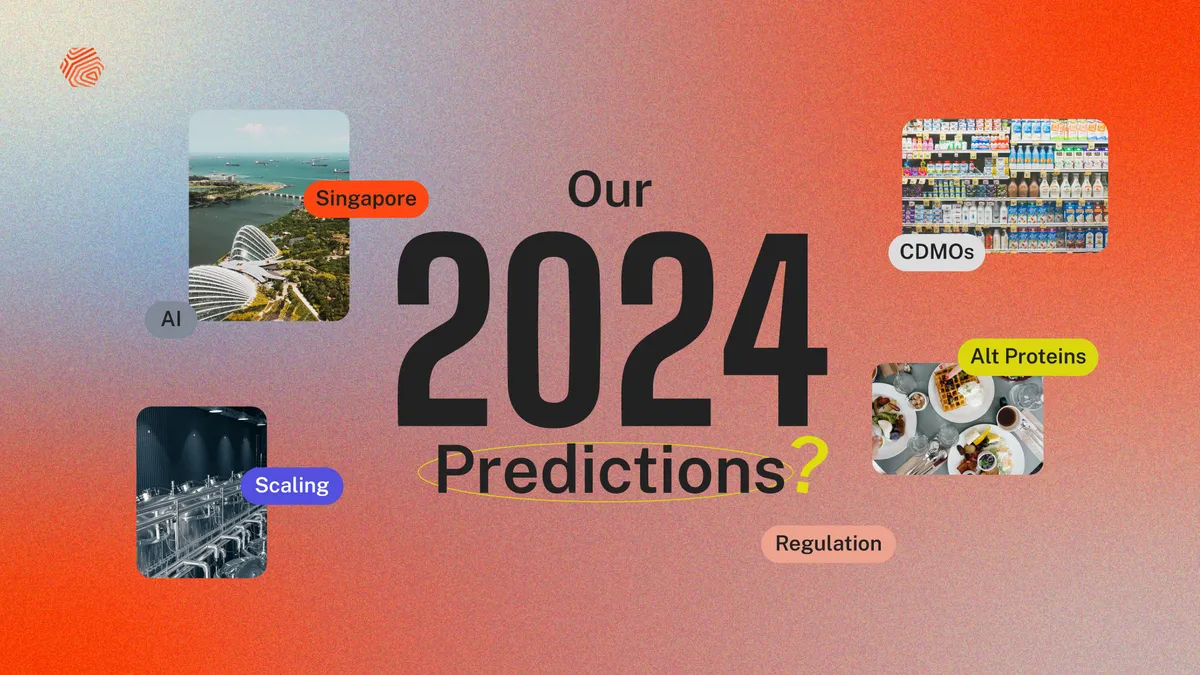 2024 Predictions: TurtleTree