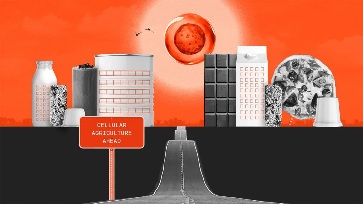 What Does 2022 Look Like for the Future of Cellular Agriculture?