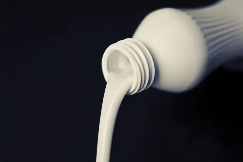 Cellular Agriculture – Moving Towards a More Sustainable Method of Milk Production