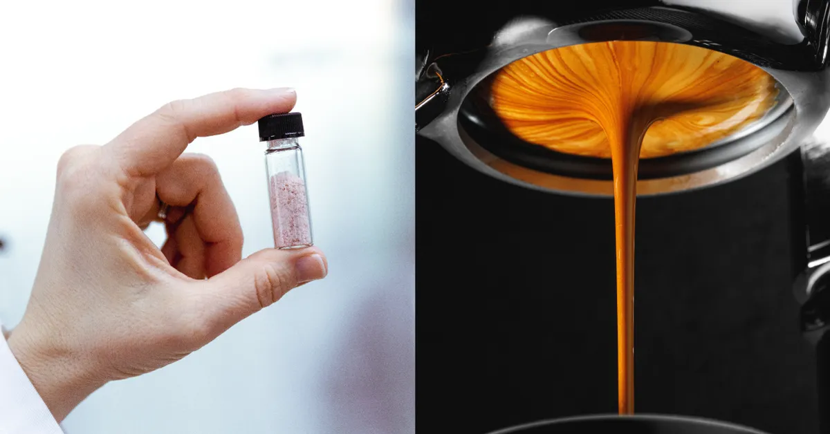 TurtleTree to Debut Animal-Free Lactoferrin with Espresso Shot for Endurance Athletes