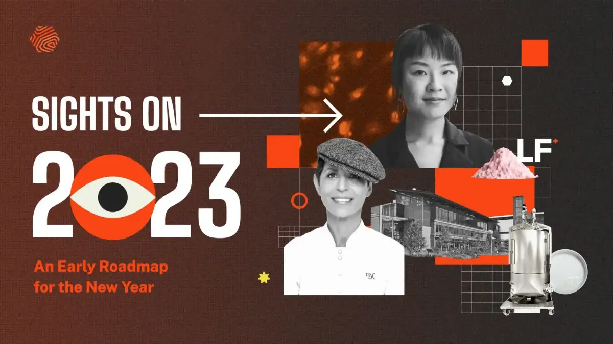 Sights on 2023: An Early Roadmap for the New Year