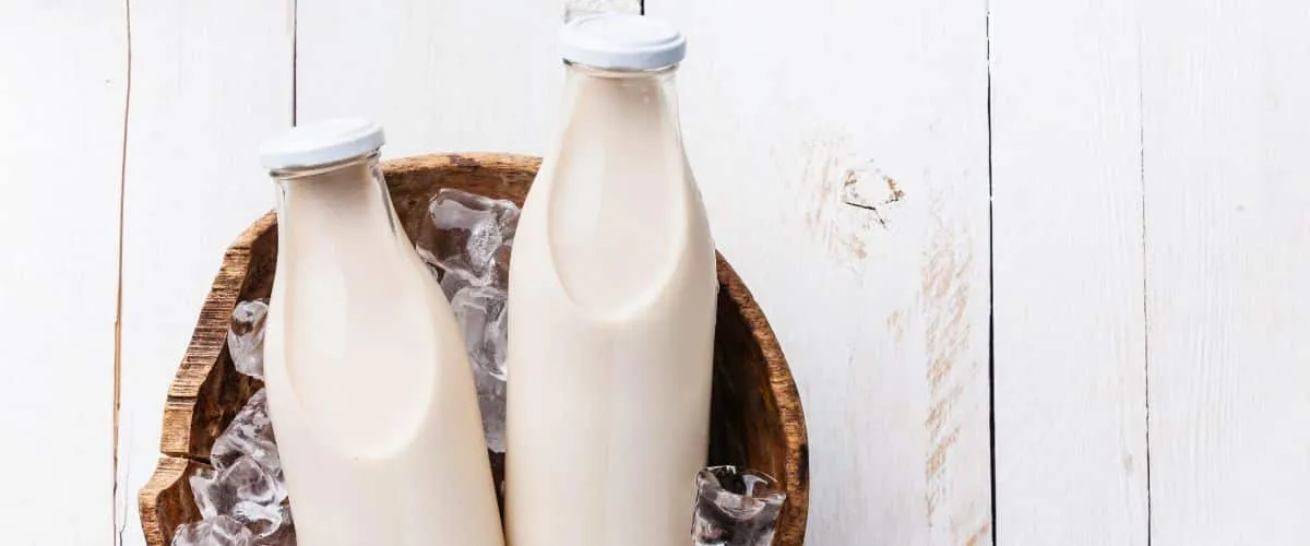 Singapore’s TurtleTree Debuts World’s First Animal-Free Milk Protein Lactoferrin