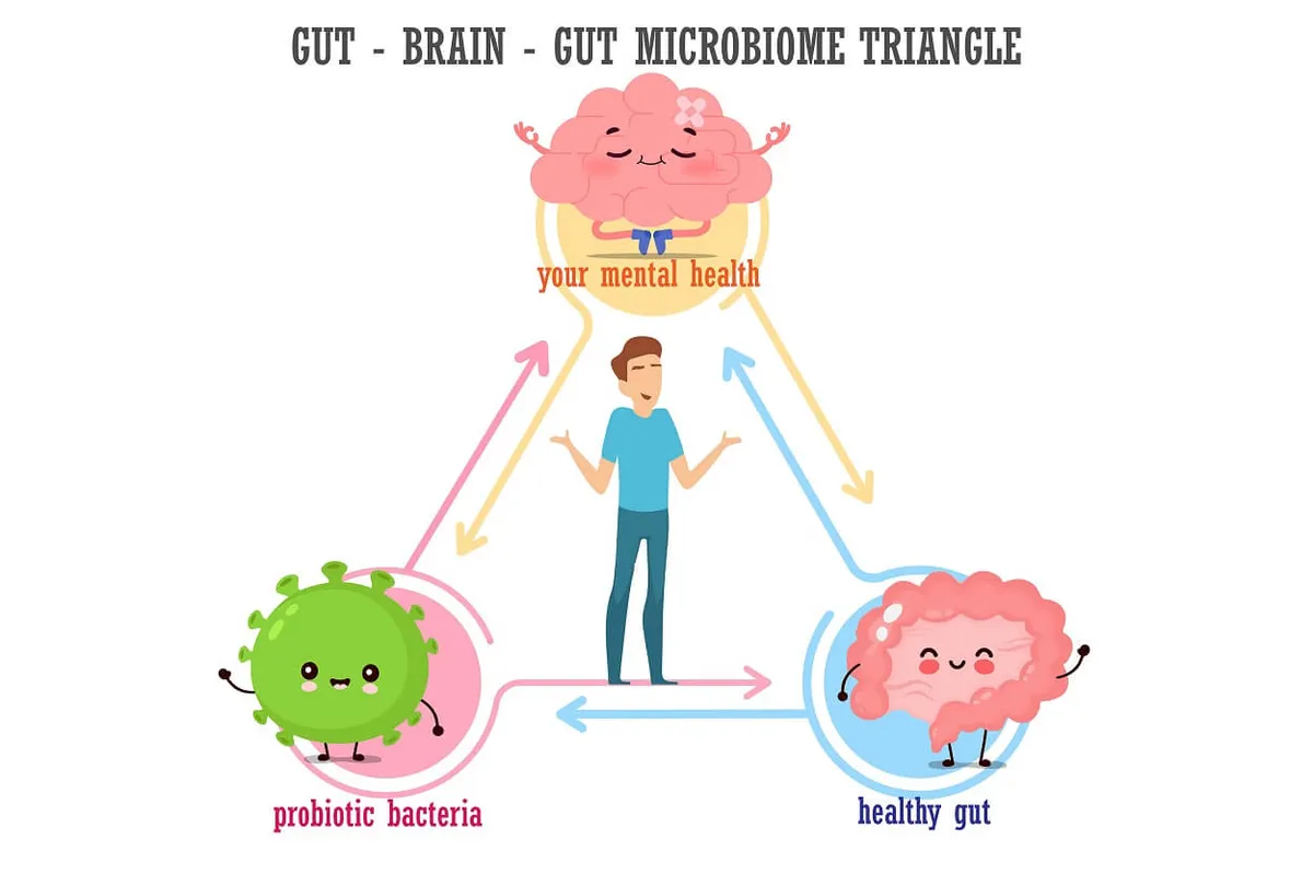 The Gut-Brain Axis and its Influences on Your Daily Life