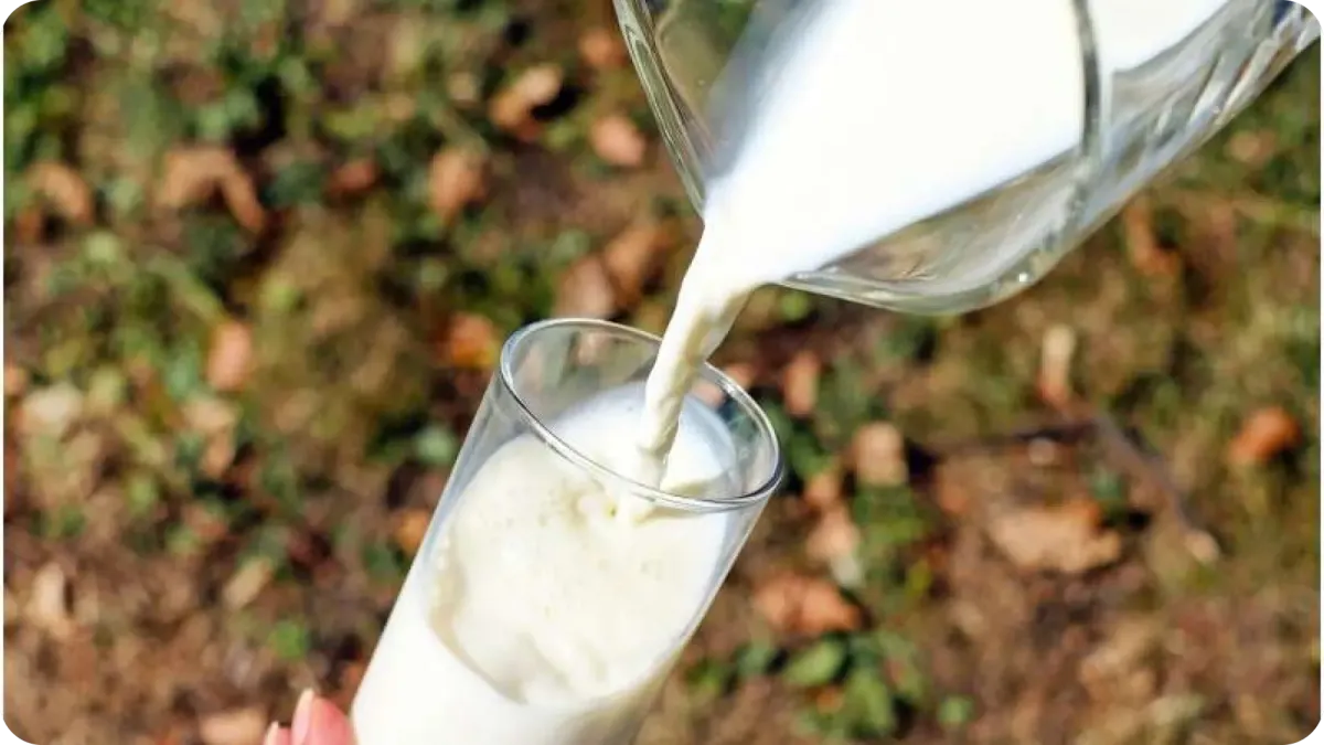 Will Cell-Based Milk Change the Dairy Industry? This California Lab Could Lead the Way